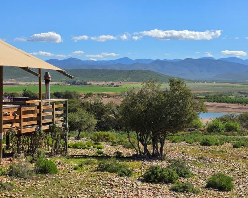 Glamping in Oudtshoorn