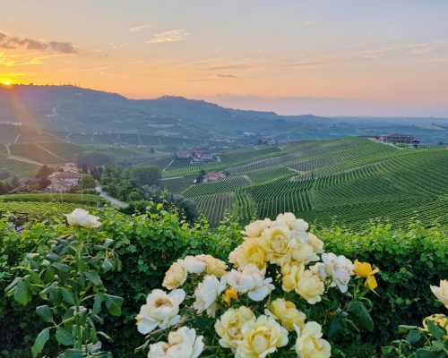 Regio Langhe, Italië