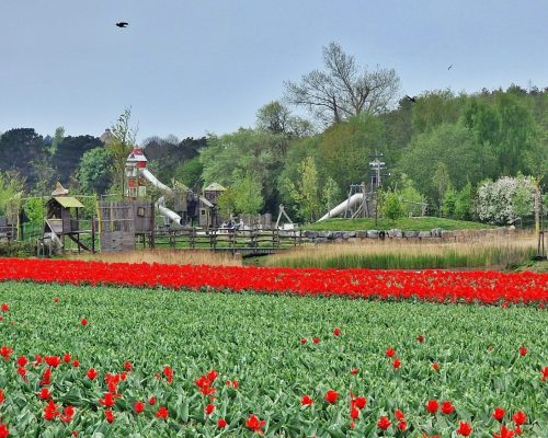 Speeltuin in Noordwijk